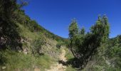 Trail Mountain bike Vallon-Pont-d'Arc - vallon pont arc au col de la cize - Photo 5