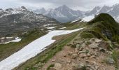 Trail Walking Les Houches - Chamonix :  l'aiguillette des Houches - Photo 20