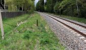 Tour Zu Fuß Bad Brambach - Wanderweg grüner Strich - Photo 1