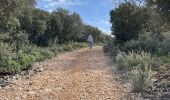 Tocht Stappen Cheval-Blanc - PF-Cheval-Blanc - Autour de Saint Phalez - Photo 8