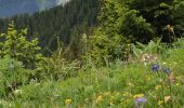 Percorso Marcia Pralognan-la-Vanoise - Rocher de Villeneuve - Photo 7