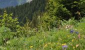 Excursión Senderismo Pralognan-la-Vanoise - Rocher de Villeneuve - Photo 7