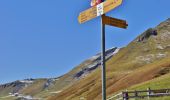 Randonnée A pied Grindelwald - First - Grosse Scheidegg (Höhenweg 2400) - Photo 8