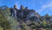Trail Walking La Roquebrussanne - ROQUEBRUSANNE - Photo 18