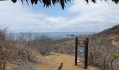 Trail Walking Montecristi - Isla de la plata - Photo 9