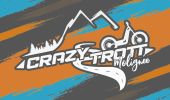 Tour Mountainbike Anhée - SityTrail - Crazy Trott | Anhée - Dinant - Lesse - Ravel - Photo 1