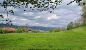 Tour Wandern Saint-Offenge - st offenge-15-04-34 - Photo 3