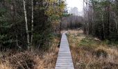 Randonnée Marche Gouvy - Promenade vers la réserve naturelle 