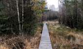 Tocht Stappen Gouvy - Promenade vers la réserve naturelle 