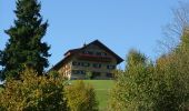 Randonnée A pied Immenstadt im Allgäu - Großer Alpsee Rundwanderweg - Photo 3