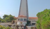 Excursión Senderismo Leucate - la franqui . phare de leucate .. retour via la falaise - Photo 14