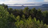 Trail Walking Taradeau - taradeau l'oppidum - Photo 12
