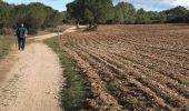 Trail Walking Nimes - Clos Gaillard - Photo 13