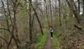 Trail Walking Neupré - Bonsgnée - Photo 4