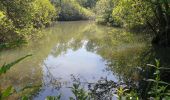 Excursión Senderismo La Calotterie - Autour de Montreuil sur mer  - Photo 14