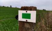 Trail Walking Libramont-Chevigny - Entre Vierre et Ourthe - Photo 8
