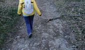 Percorso Marcia Assesse - Sart Bernard - Andenne Rando 18 - Photo 13