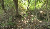 Tocht Stappen Avon-les-Roches - Avon-les-Roches - Lavoirs et Collégiale des Roches Tranchelion - Photo 20