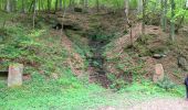 Tour Zu Fuß Schollbrunn - Rote Schnepfe, Rundwanderweg Schollbrunn - Photo 2