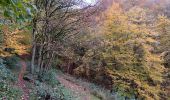 Tocht Stappen Luik - entre ourthe et lande (privatisée) - Photo 8