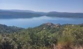 Excursión Bici eléctrica Esparron-de-Verdon - Espérons Ste Croix et retour  - Photo 2