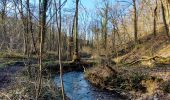 Tocht Stappen Charleroi - ELVOBAL-CAZIER+ LOVERVAL+ GROTTE-12 Kms -mars24 - Photo 5