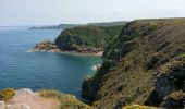 Tour Wandern Plévenon - Cap Fréhel - 2017 06 22 - Photo 5