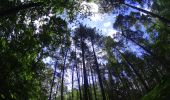 Randonnée V.T.T. Lasne - VTT de Maransart à la forêt de soigne - Photo 6