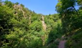 Excursión Senderismo Oberhaslach - Le Nideck, entre ruines et cascades - Photo 1