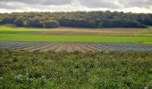 Trail Walking Saint-Germain-sur-École - Boucle soisy version definitif - Photo 6