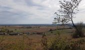 Tocht Mountainbike Saint-Clément - sortie vtt du 06102018 Haut de la Coye - Photo 1