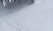 Randonnée Ski de randonnée Saint-Christophe-sur-Guiers - la morte - Photo 13