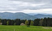 Tocht Stappen Sondernach - 2023-05-19 WE Marche Bivouac Massif du Hohneck - Photo 14