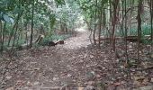 Excursión Senderismo Le Lorrain - La Crabiere Anse rivière Rouge - Photo 1