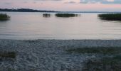 Excursión Bicicleta híbrida Sanguinet - Sanguinet-Le lac à la tombée de la nuit - Photo 12