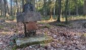 Trail Walking Spa - tour des 10 sources  - Photo 18
