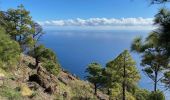 Tocht Stappen Valverde - Camino de Las Playas (El Hierro) - Photo 13