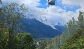 Excursión Senderismo Chamonix-Mont-Blanc - J13 - R11 - Chalet La Floria depuis Les Praz de Chamonix - Photo 6