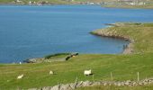 Randonnée A pied Unknown - Rams Head Lighthouse, Whitesness - Photo 10