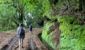 Tour Wandern São Jorge - Levada del Rei - Photo 6