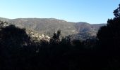 Tocht Stappen Le Lavandou - Temple d Hercule le 23/01/2022 - Photo 5