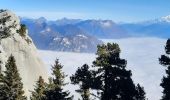 Tour Wandern Sainte-Marie-du-Mont - Belles Ombres tour - Photo 2