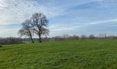 Tour Wandern Anzegem - Kaster 16,5 km - Photo 4