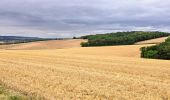 Tour Zu Fuß Villeneuve-sur-Yonne - Villeneuve Sur Yonne - Sens 32 km étape 1/3 - Photo 4