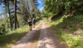 Excursión Senderismo Dourbies - Dourbies -Meyruis 23 km - deuxième étape tour du mont Aigual - Photo 11