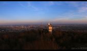 Trail On foot Scy-Chazelles - Circuit du Tour du Mont St Quentin - Photo 8