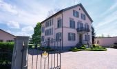 Tour Zu Fuß Uster - Uster - Meilen - Photo 8