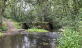 Tocht Stappen Lacapelle-Viescamp - Boucle du Marais Cassan Calvanhac - Photo 8