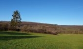 Tour Wandern Érezée - Balade à Erezée - Photo 4