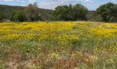 Trail Walking Argelès-sur-Mer - Mas Cristina: Par les trois mas - Photo 5